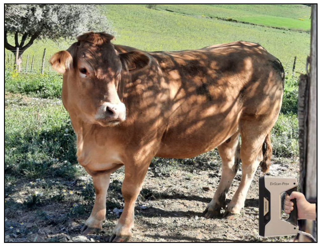 Applied Sciences Free FullText EcoDesign and Additive Manufacturing of an Innovative