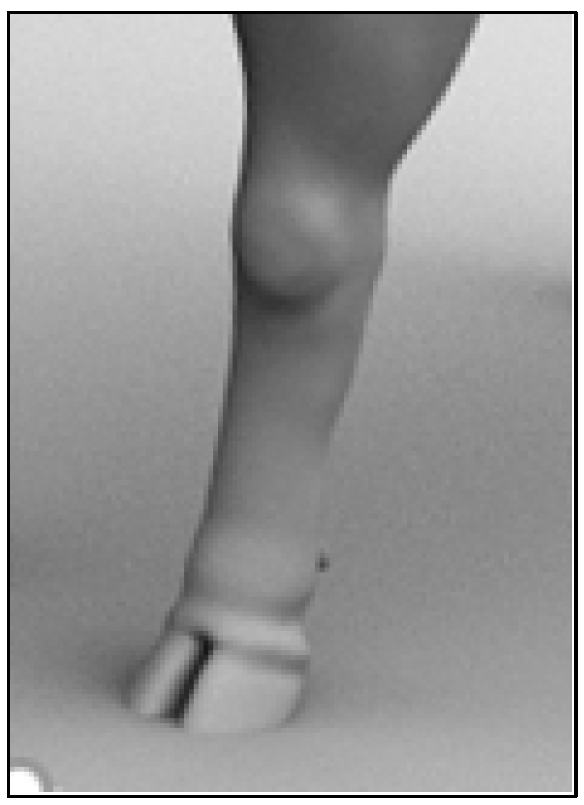 Applsci 13 11725 g003