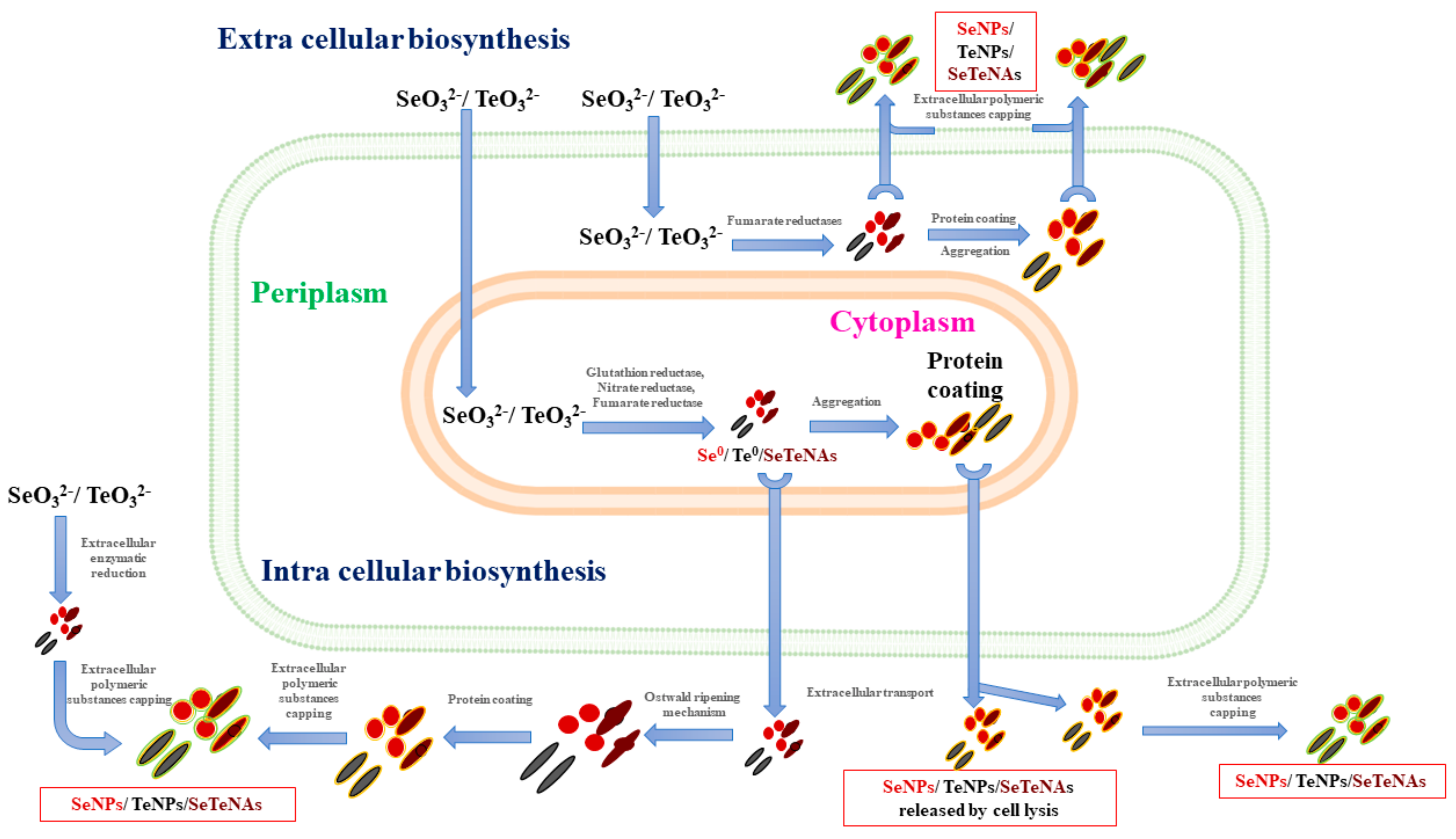 Applsci 13 11733 g006