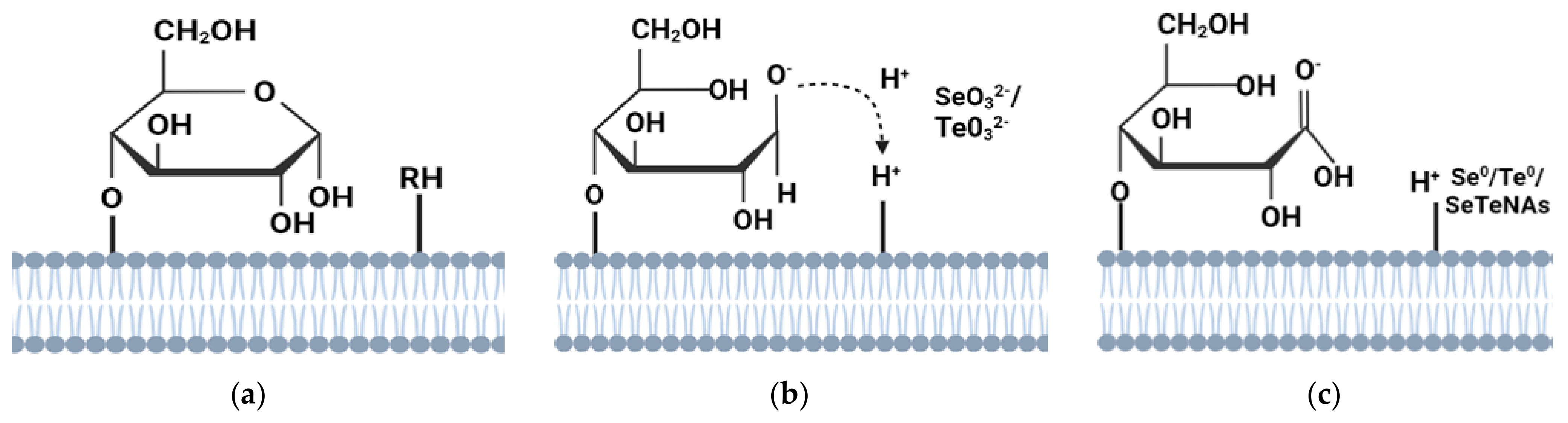 Applsci 13 11733 g007