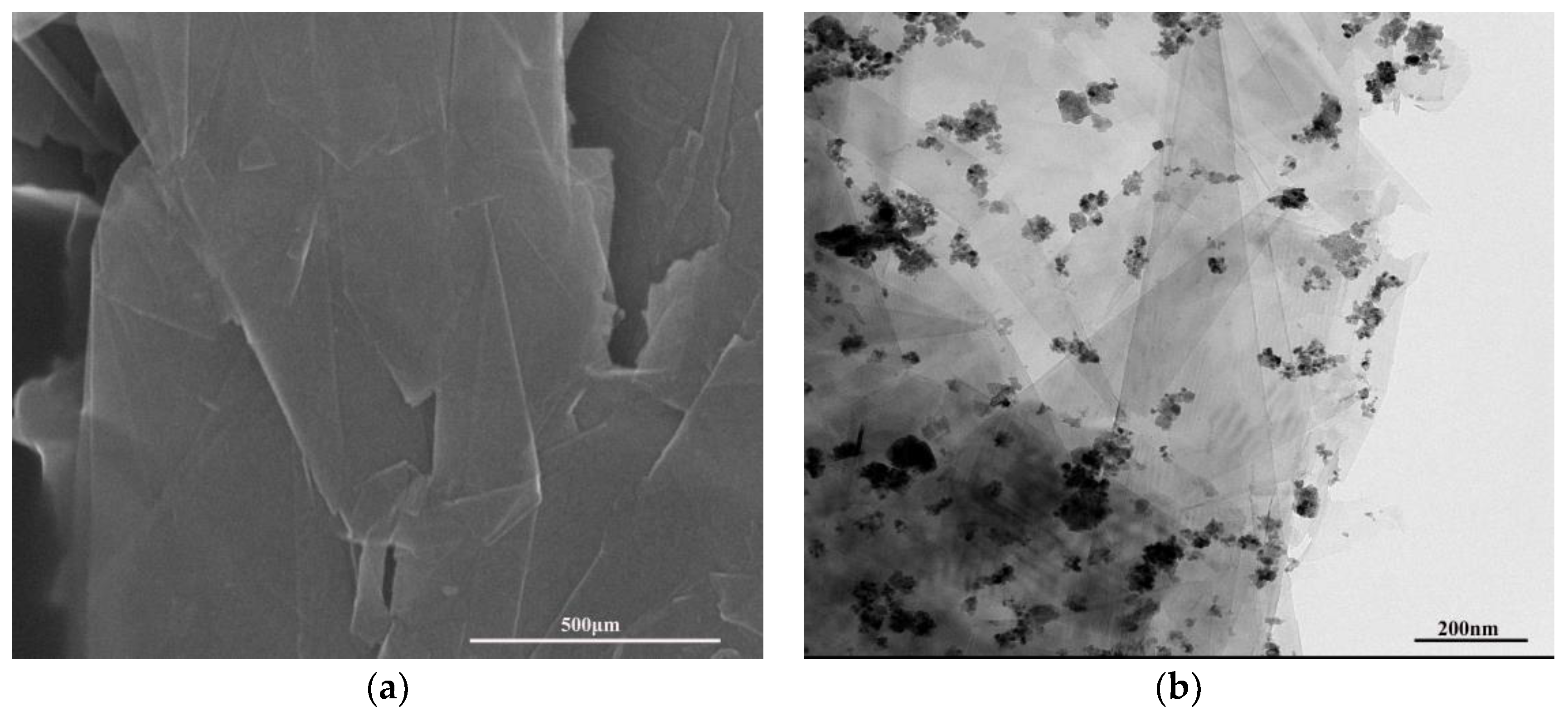 Applsci 13 11775 g001