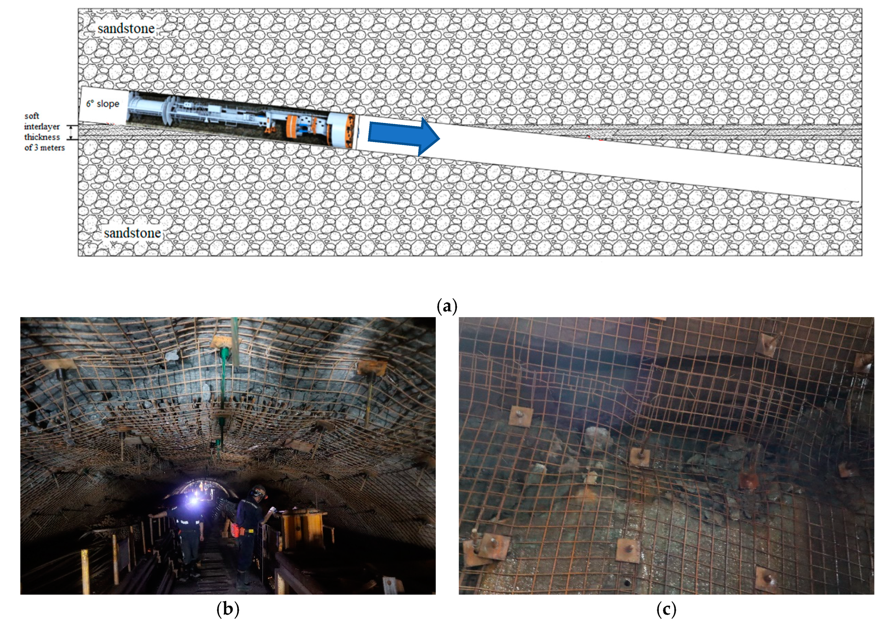 Applsci 13 11812 g001