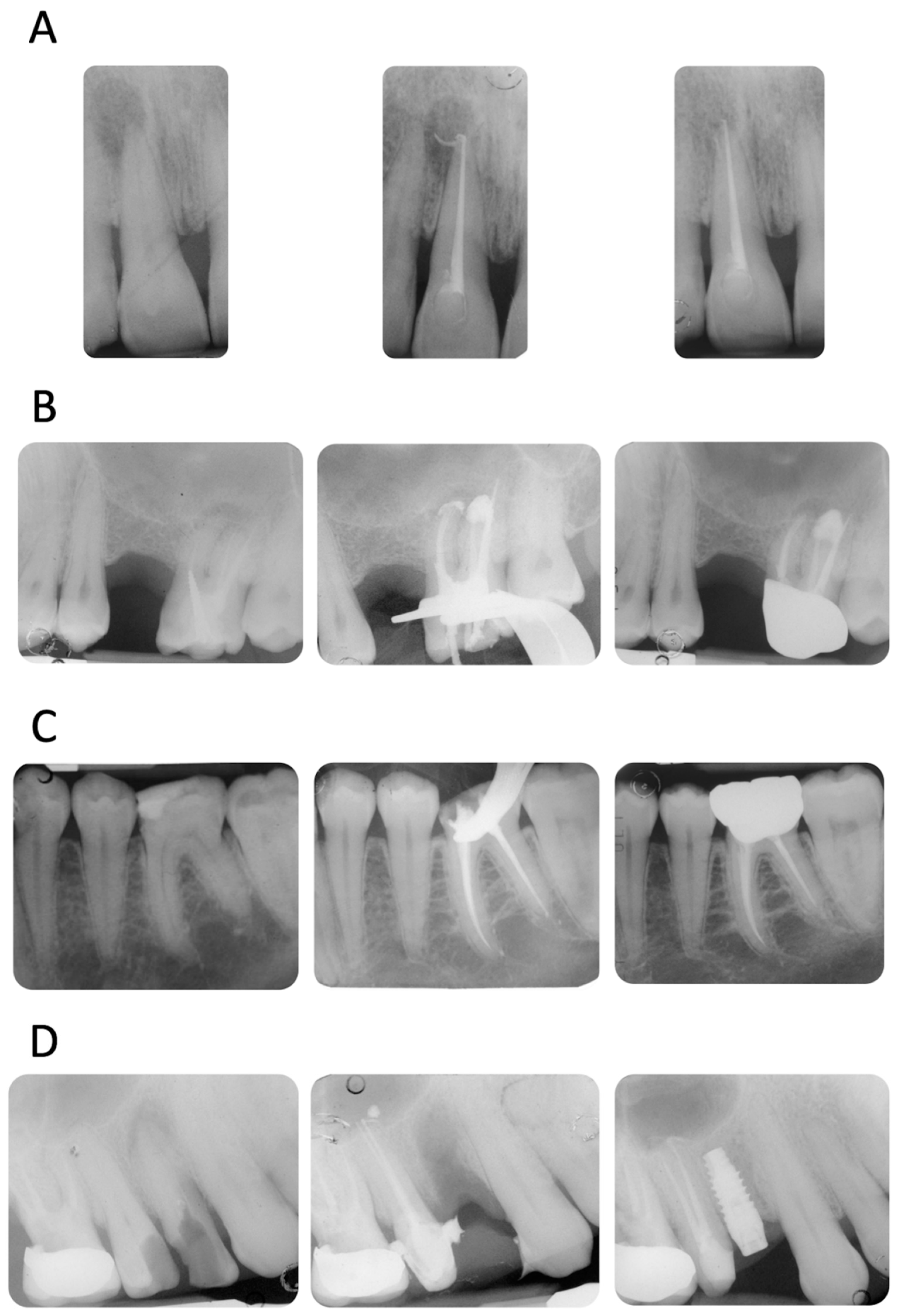 Applsci 13 11835 g002 Applsci 13 11835 g002