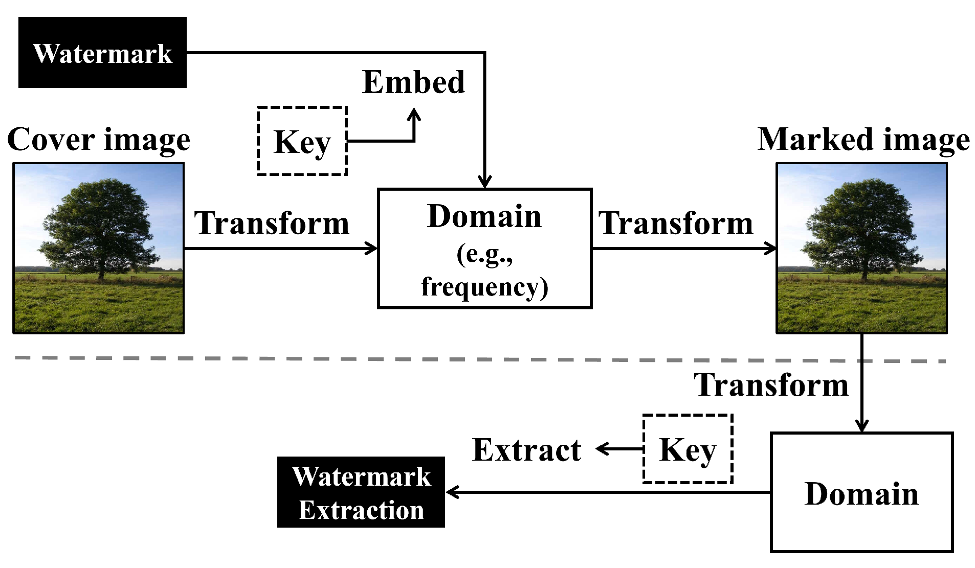 Applsci 13 11852 g001