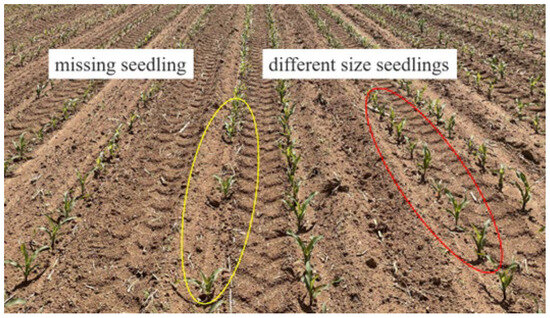 Research Progress on the Development of the Planter Unit for