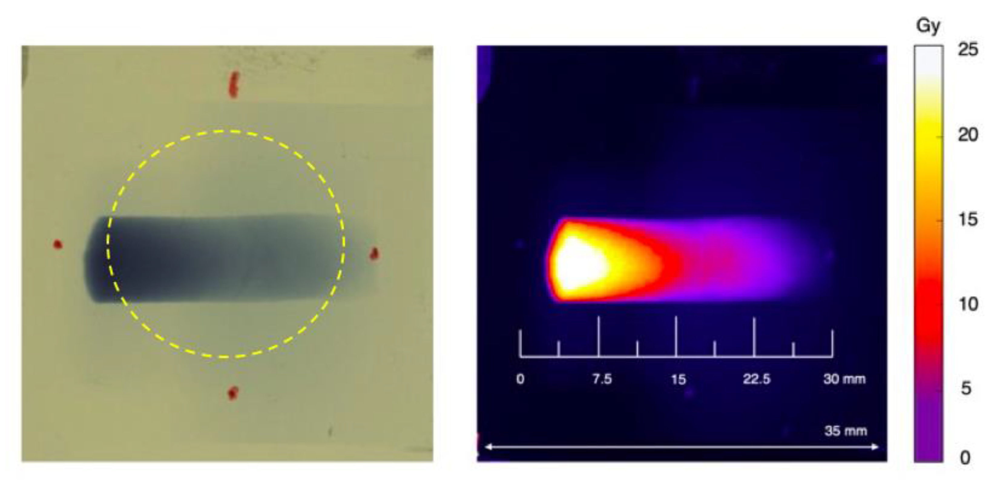 Applsci 13 11894 g004 Applsci 13 11894 g004