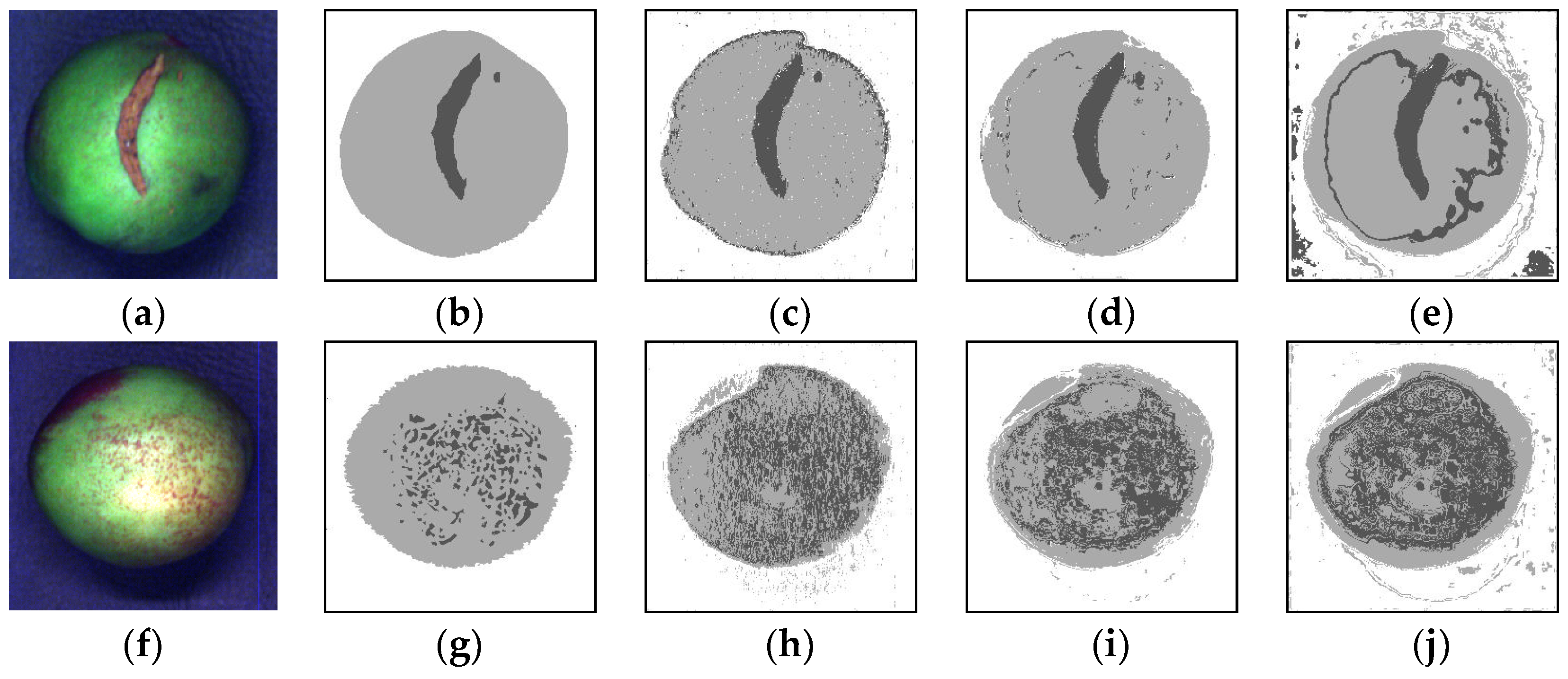 Applied Sciences Free FullText Nectarine Disease Identification