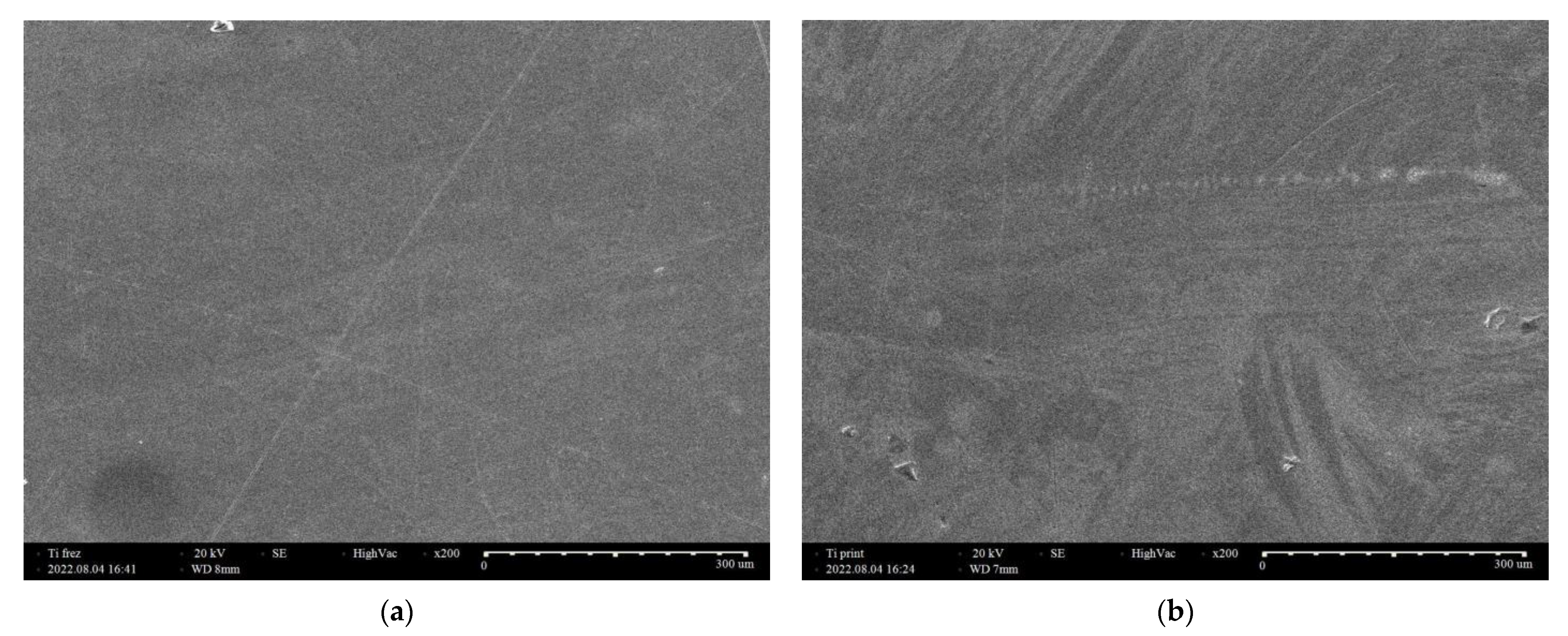 Applsci 13 11958 g005