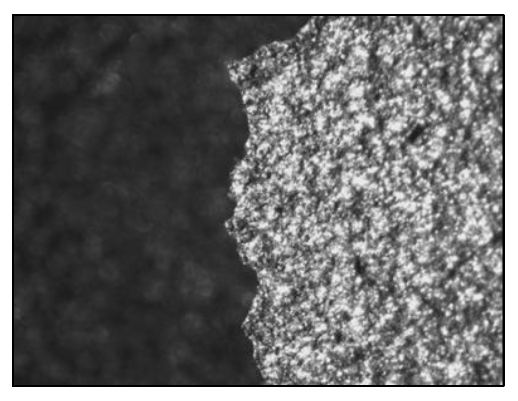 Applsci 13 11958 g013