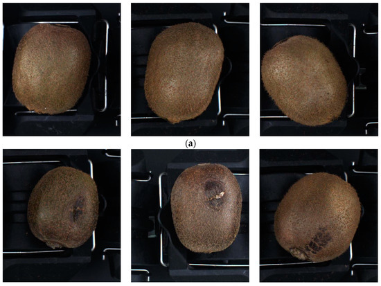 Efficient Non-Destructive Detection for External Defects of