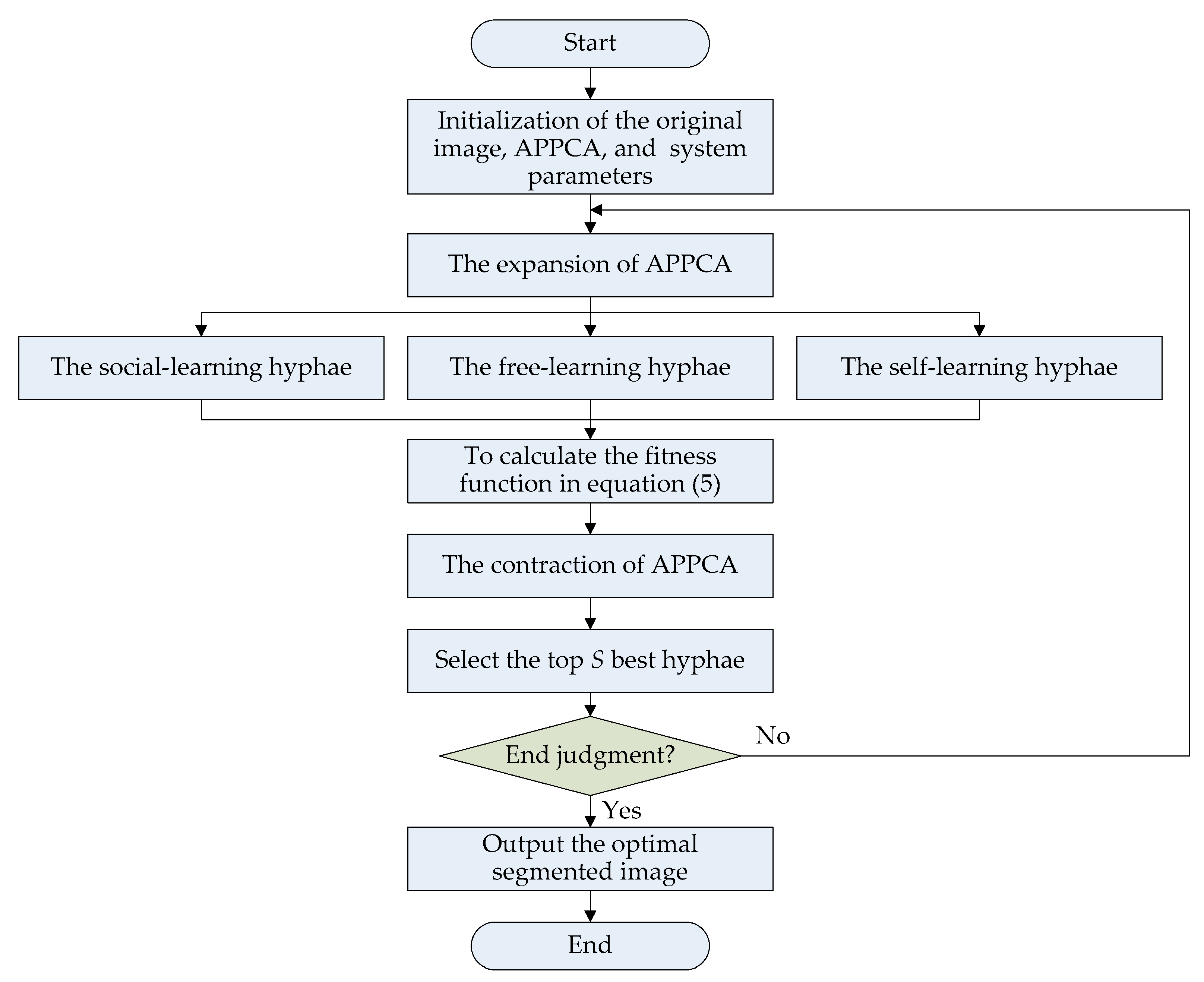 Applsci 13 11976 g002