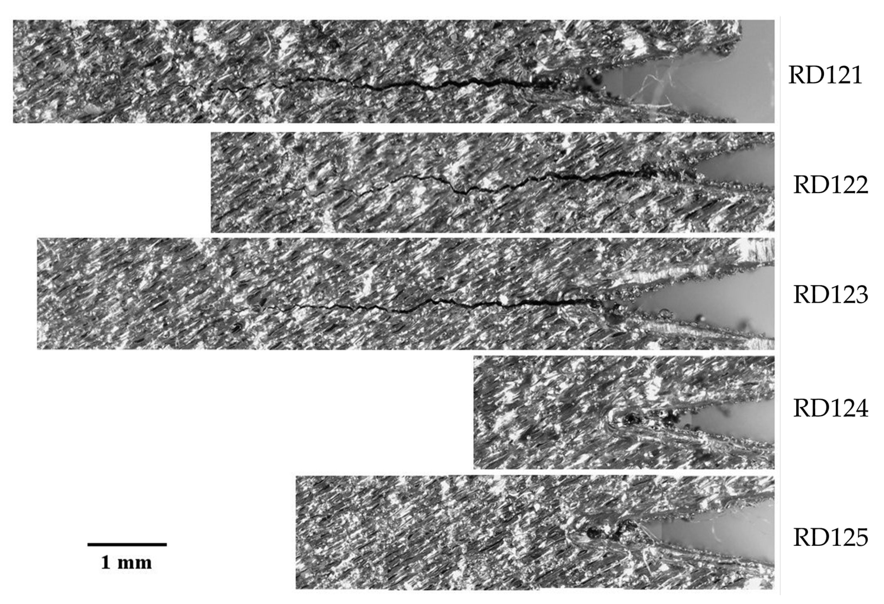 Applsci 13 11990 g013