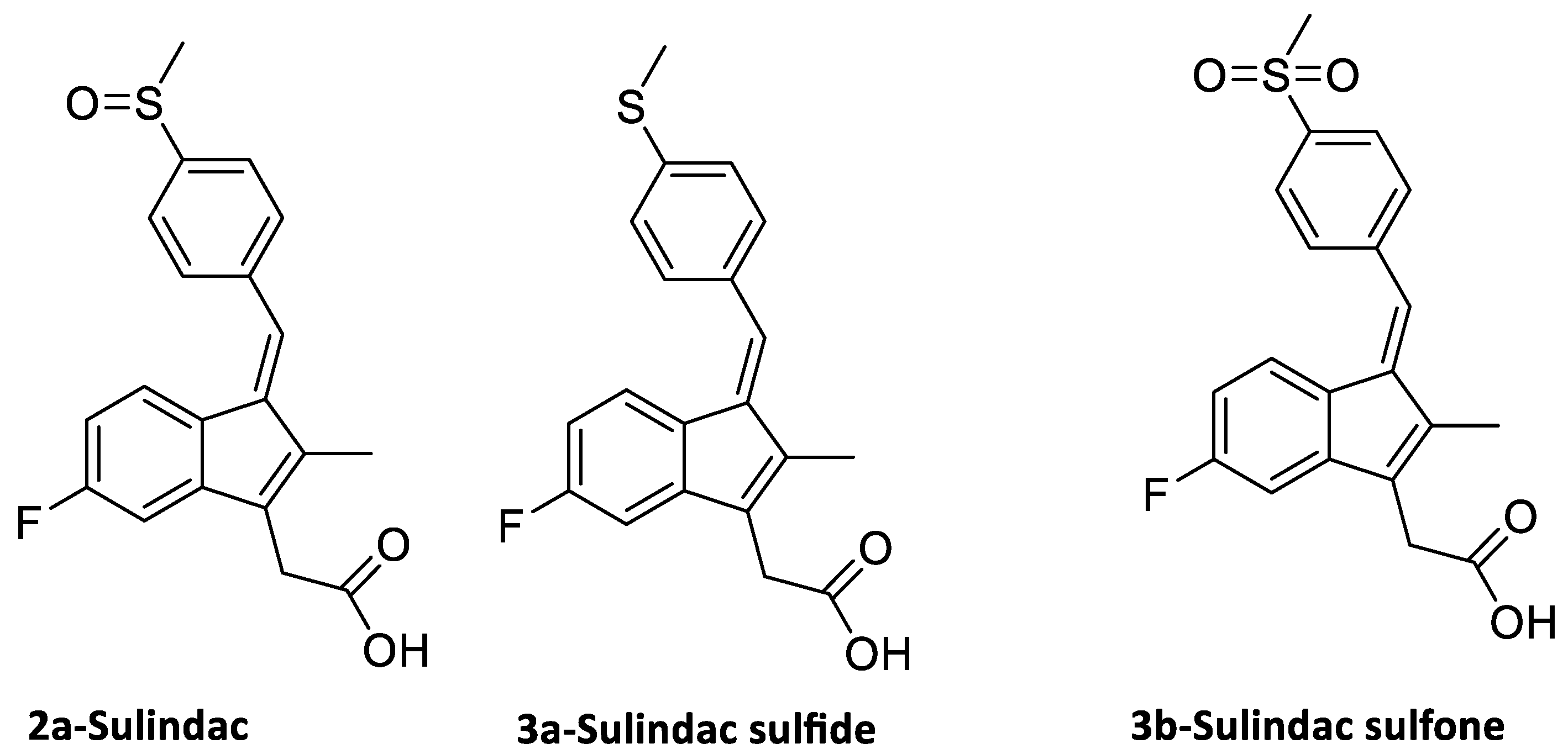 Applsci 13 12002 g001