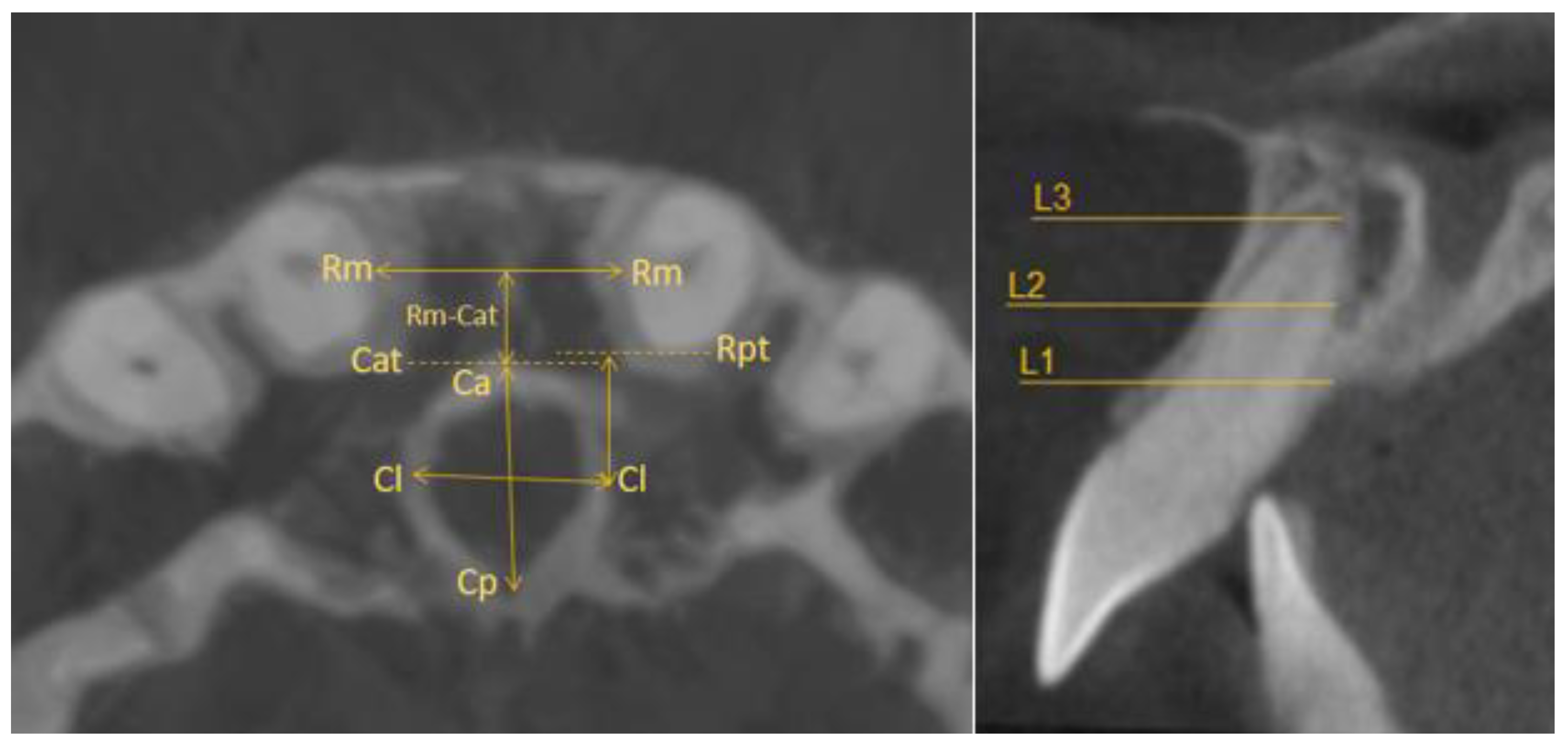 Applsci 13 12010 g001