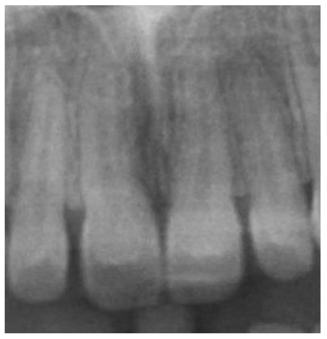 Applsci 13 12010 g008