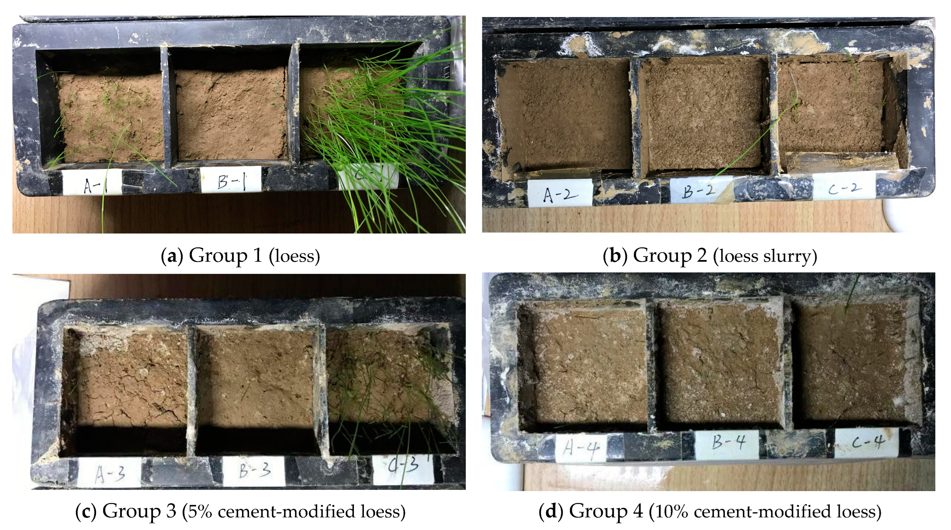 Applsci 13 12066 g008