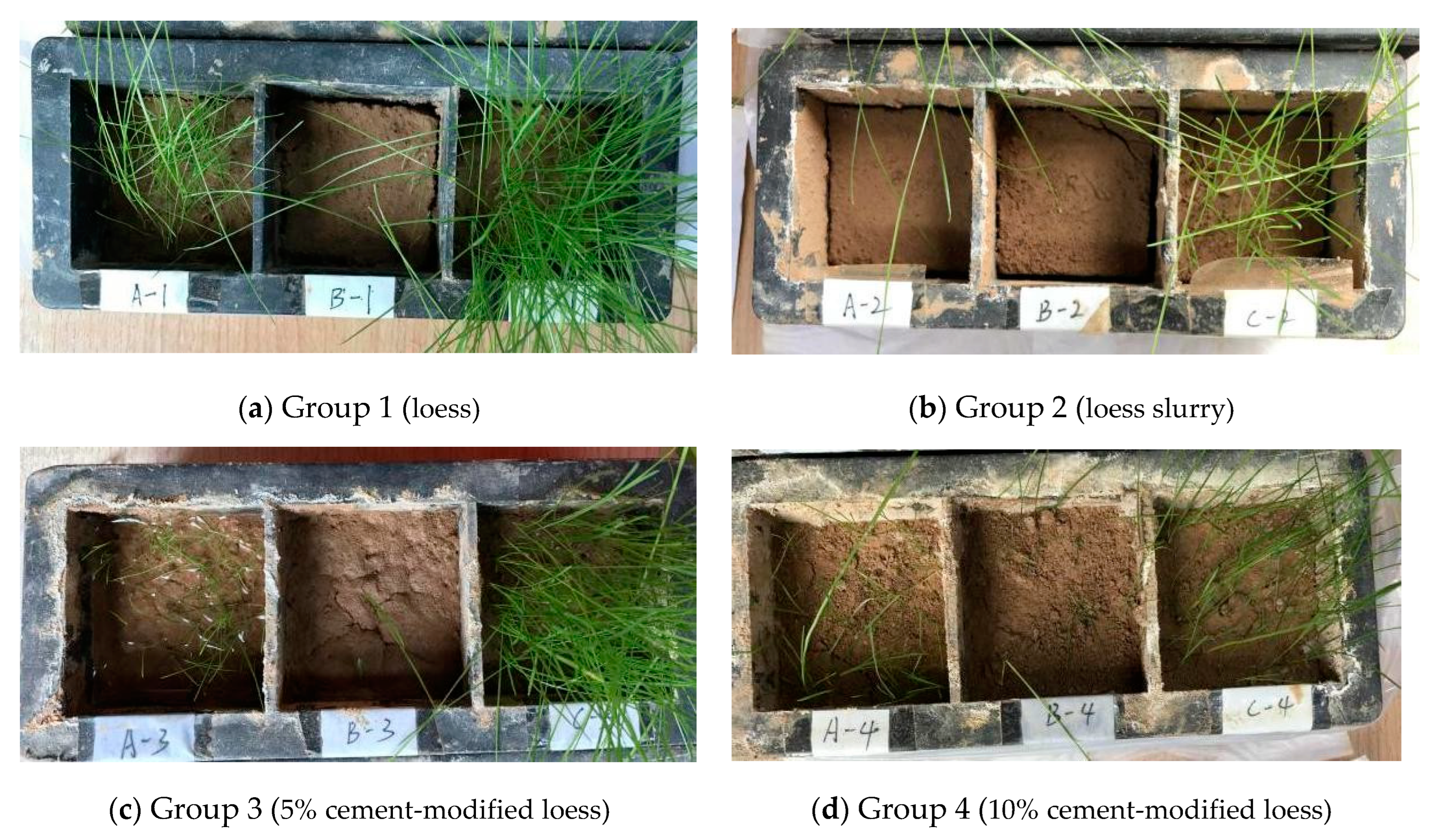 Applsci 13 12066 g010
