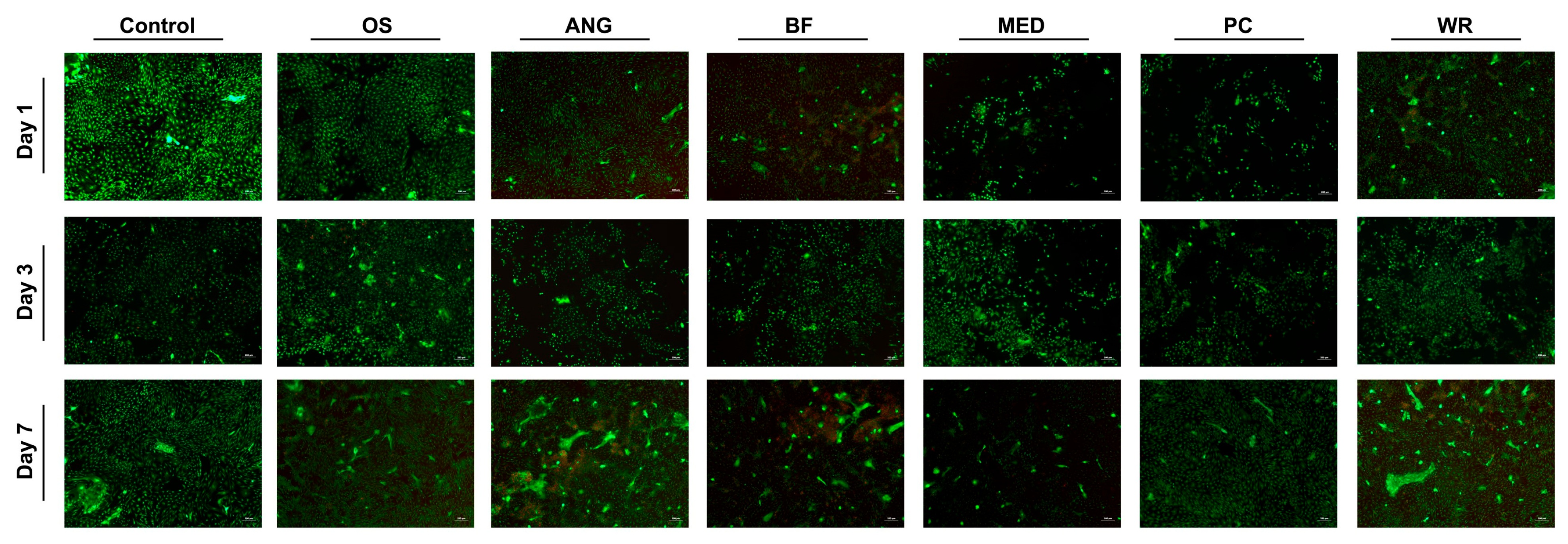 Applsci 13 12095 g002