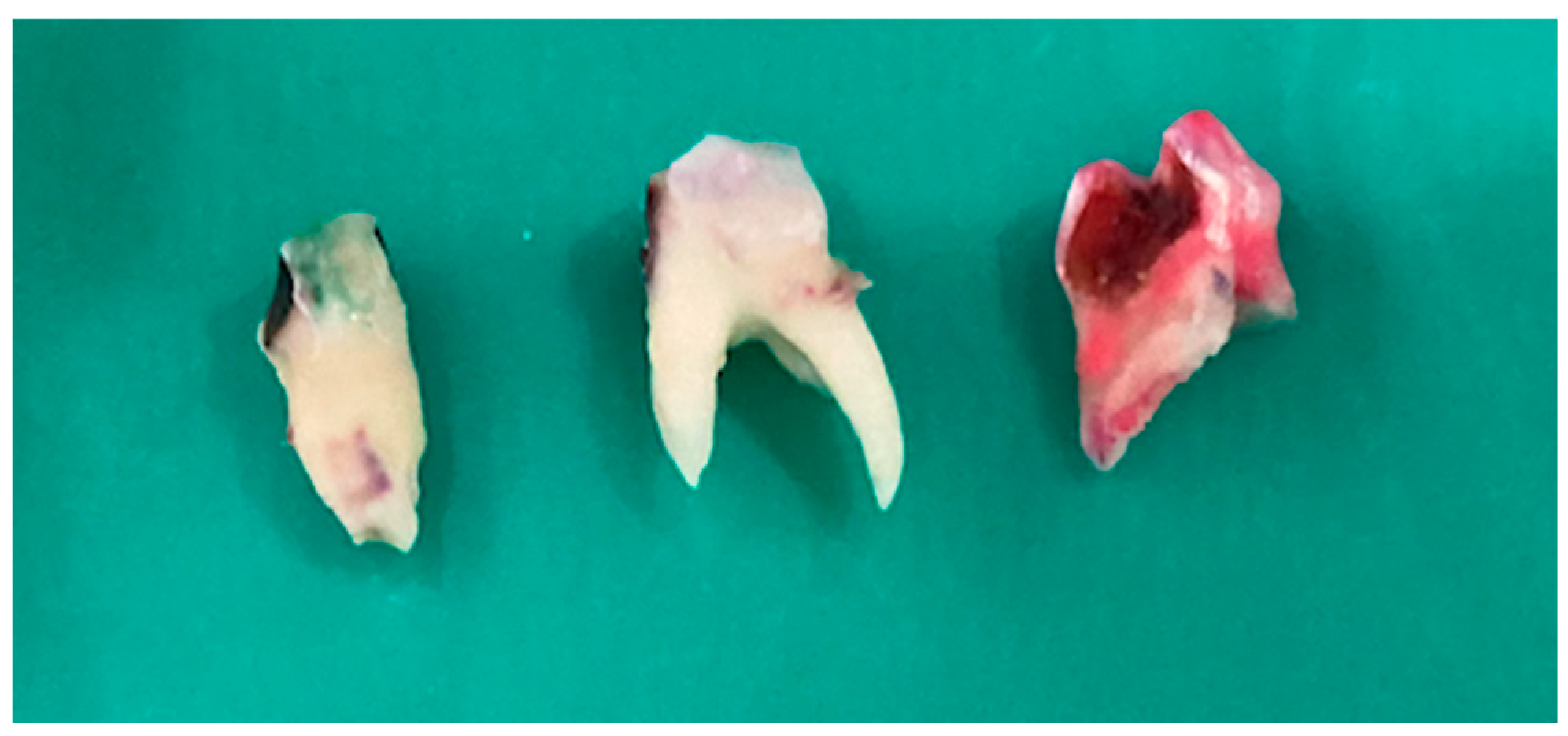 Applsci 13 12124 g002