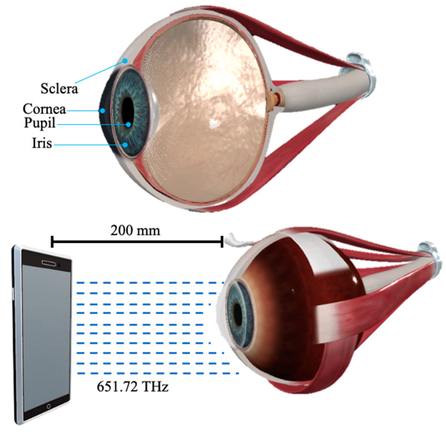 Applsci 13 12132 g002