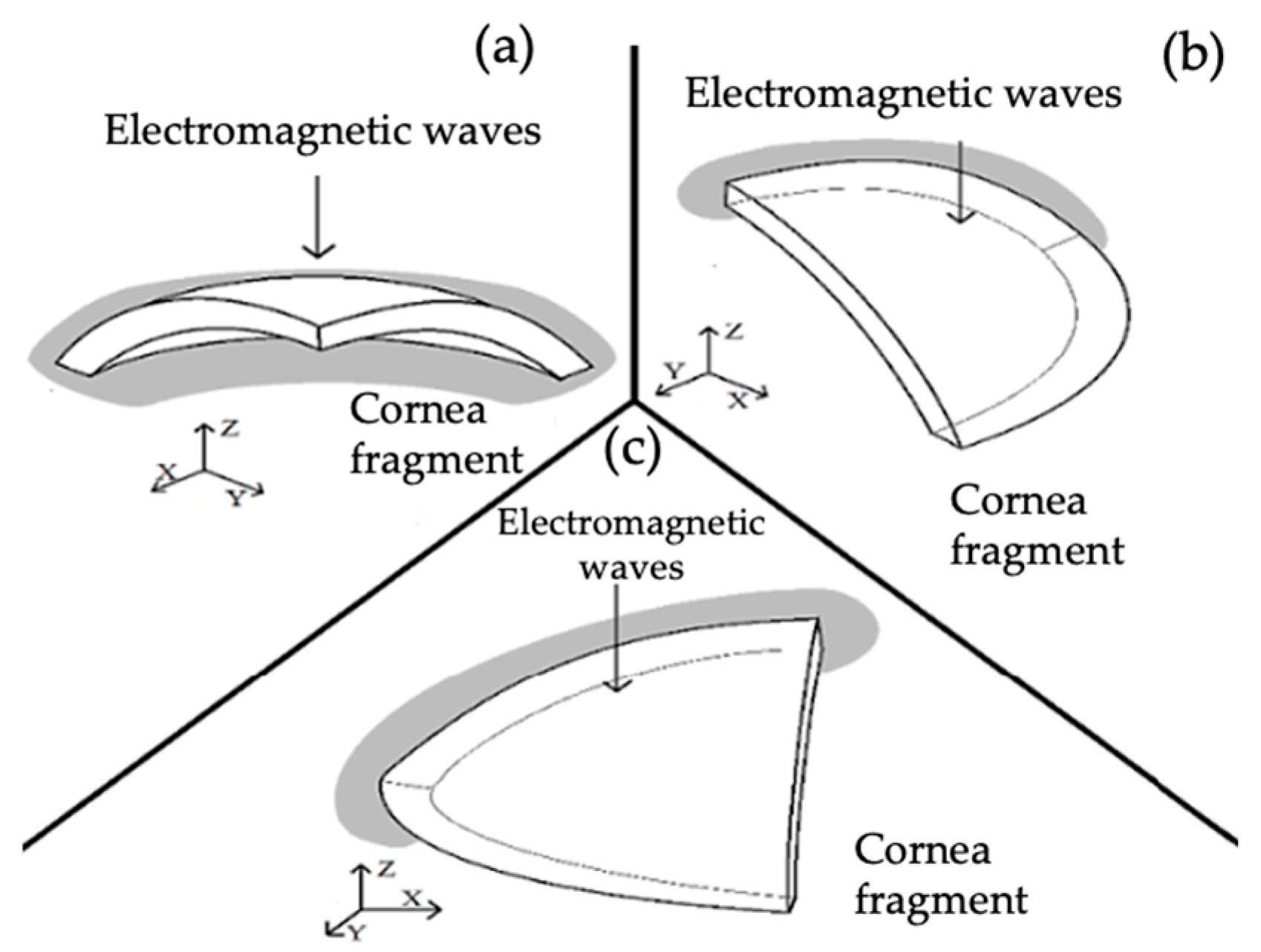 Applsci 13 12132 g005