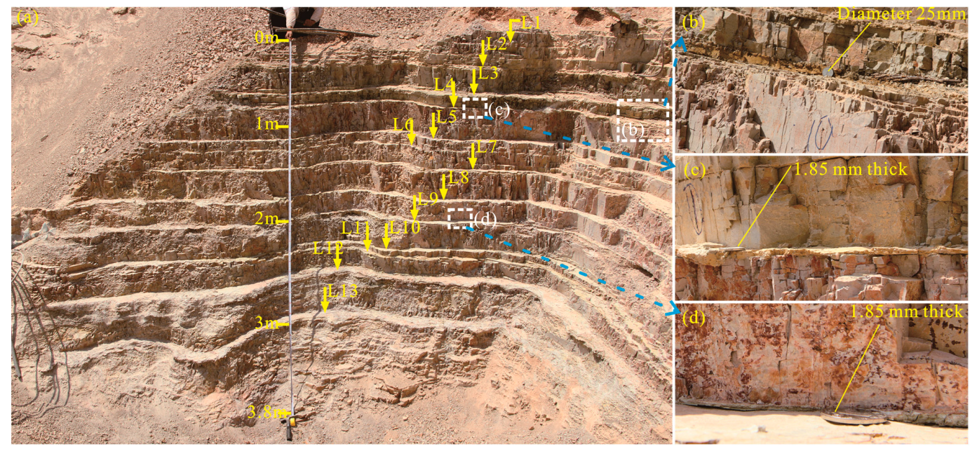 Applsci 13 12151 g001