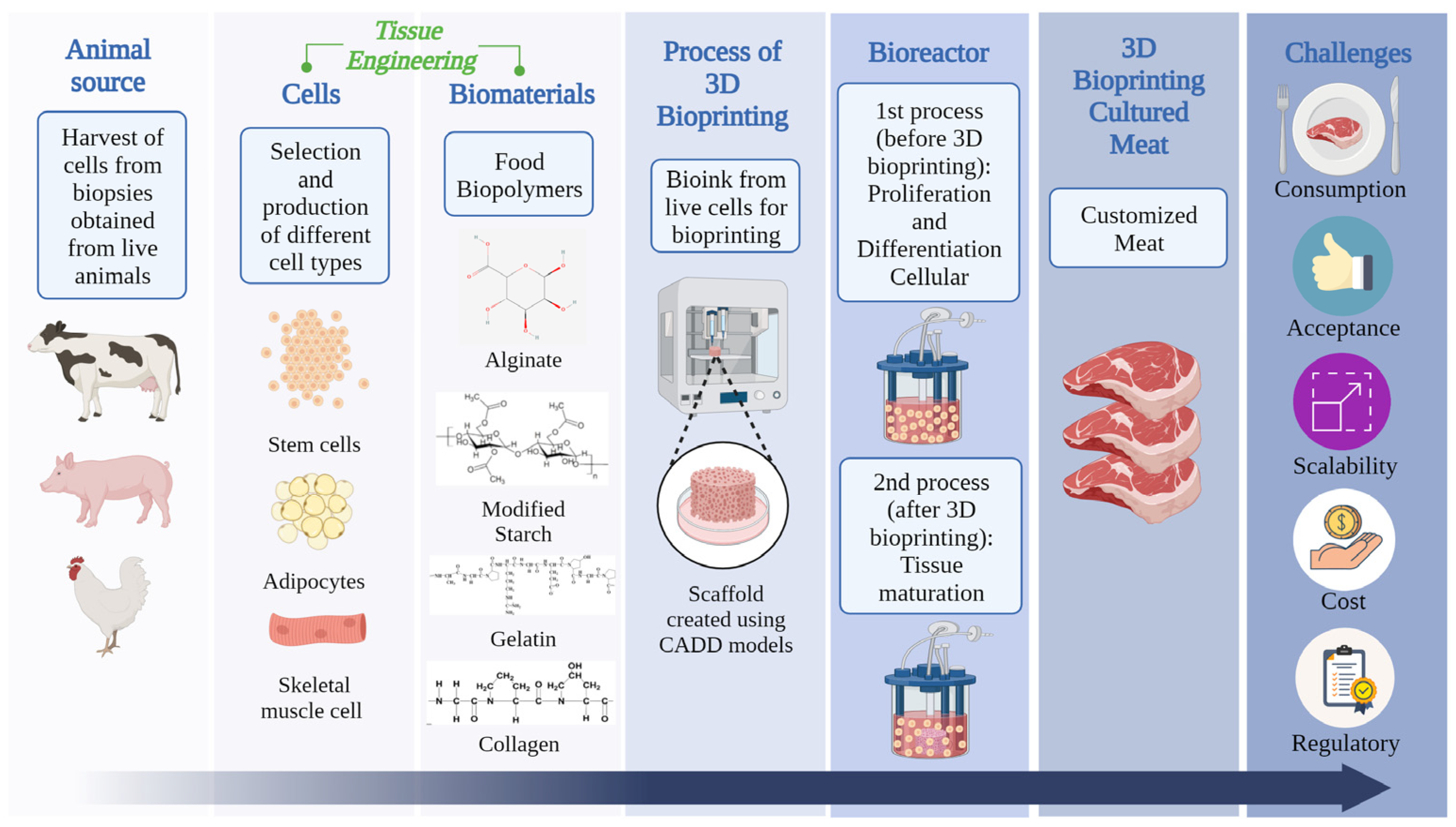 Applsci 13 12158 g005