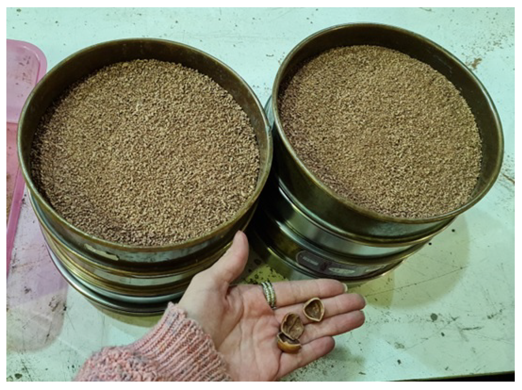 Applsci 13 12159 g002