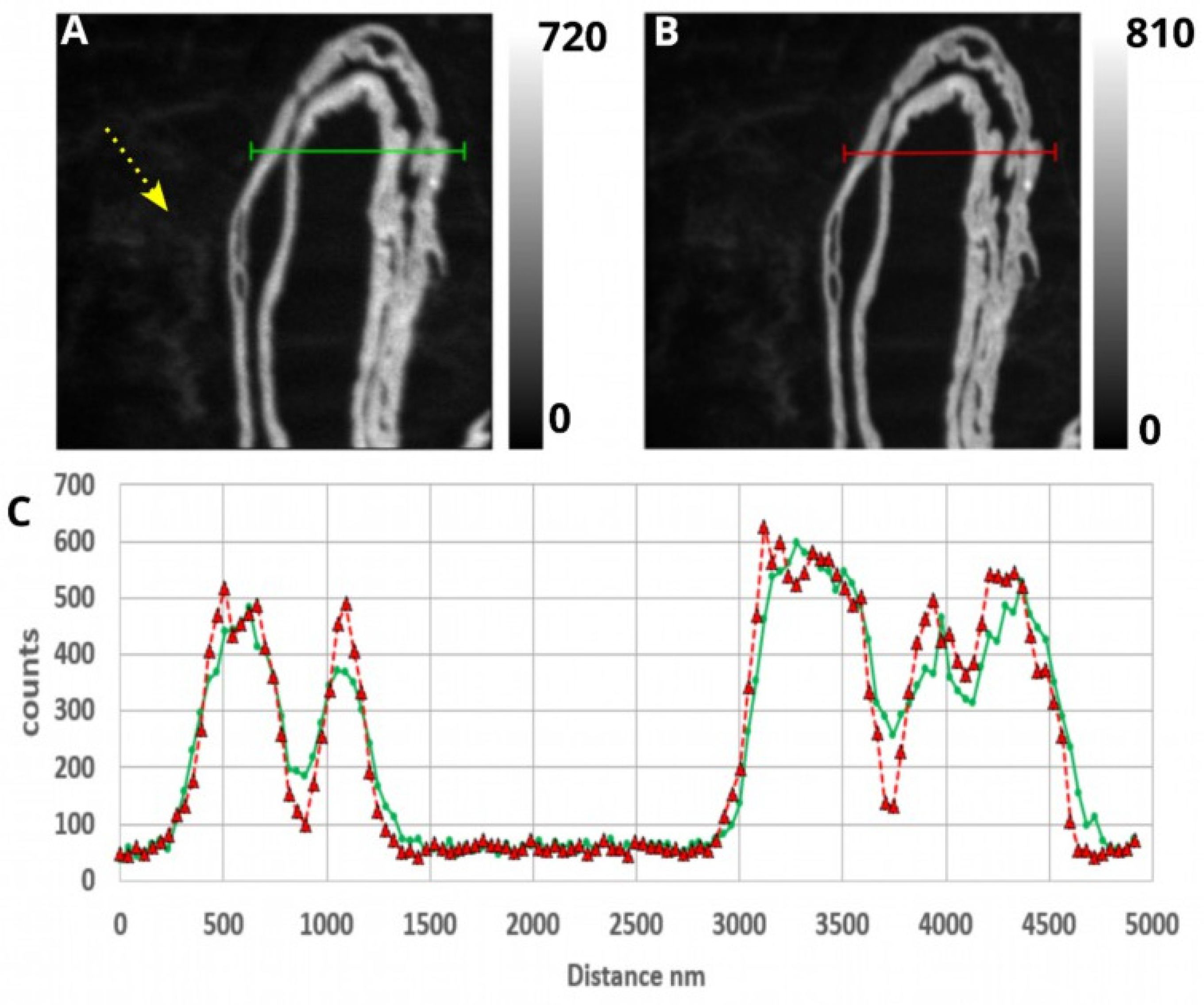 Applsci 13 12189 g002