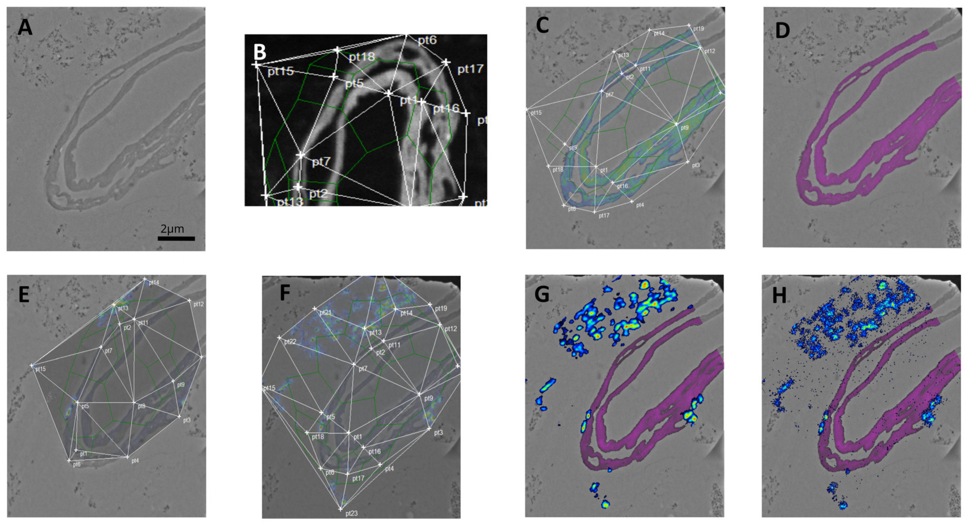 Applsci 13 12189 g003