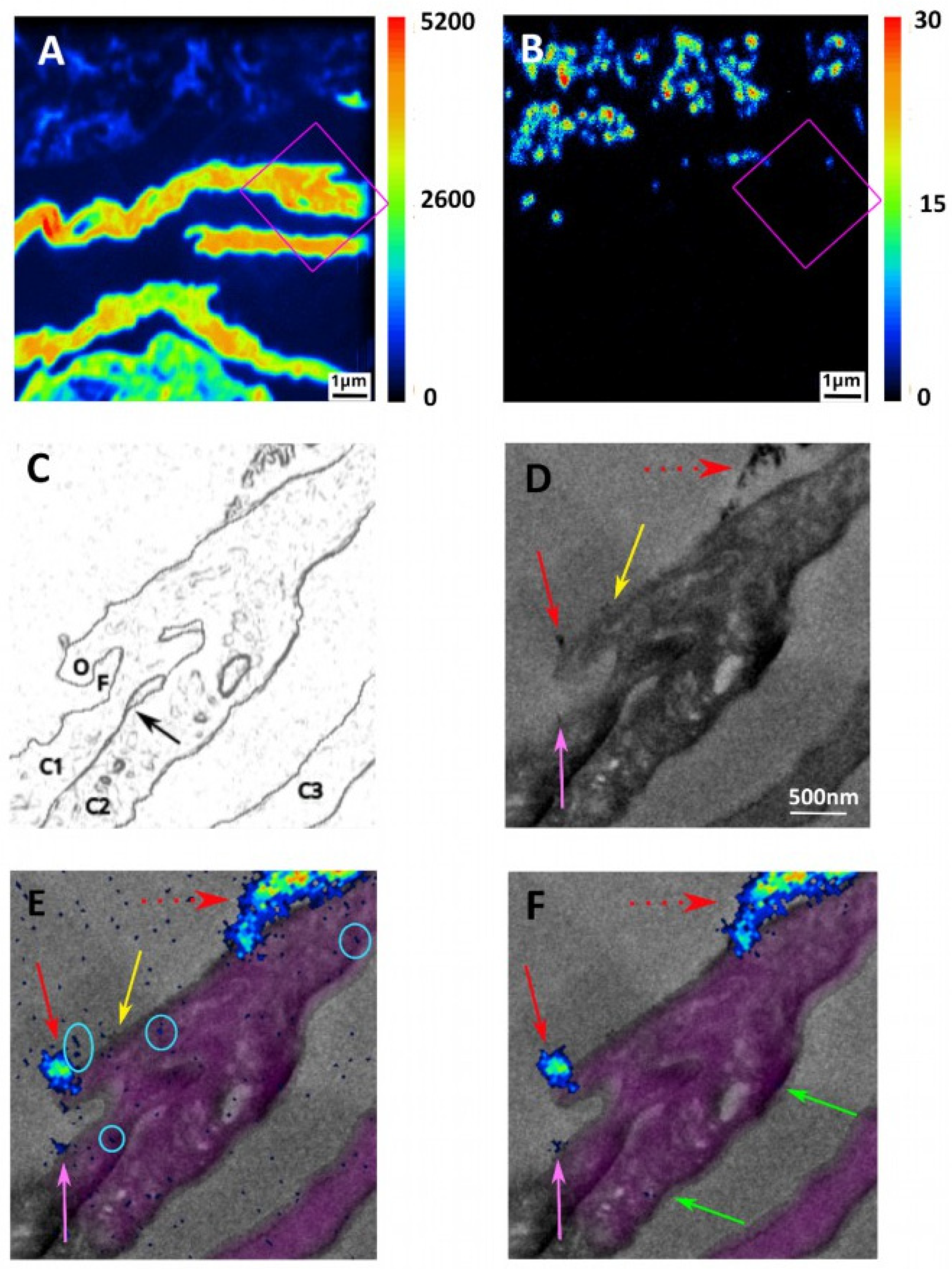 Applsci 13 12189 g004