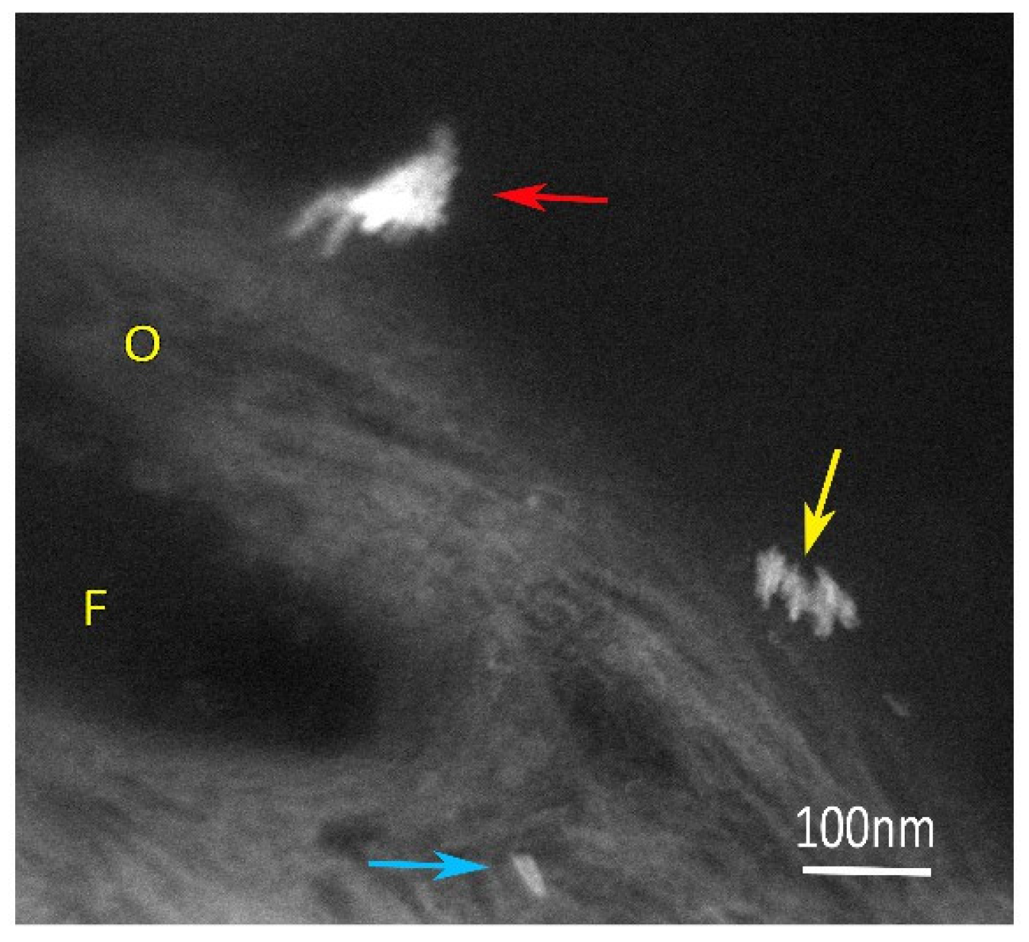 Applsci 13 12189 g005