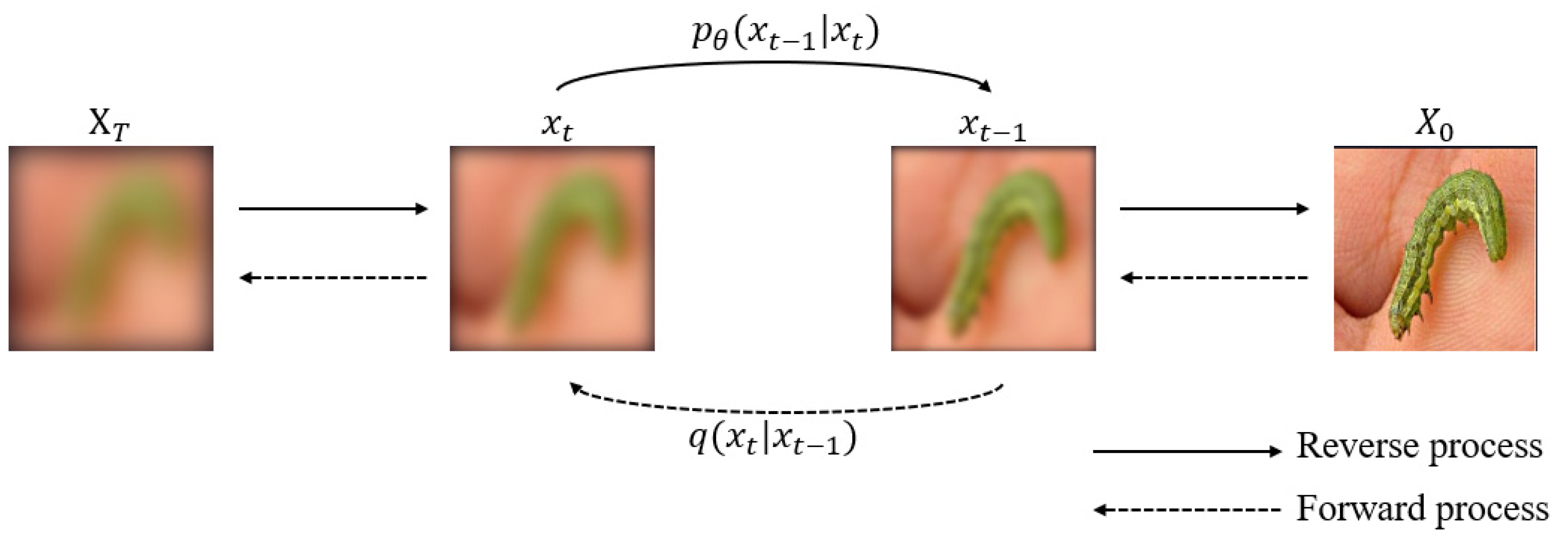 Applsci 13 12206 g002