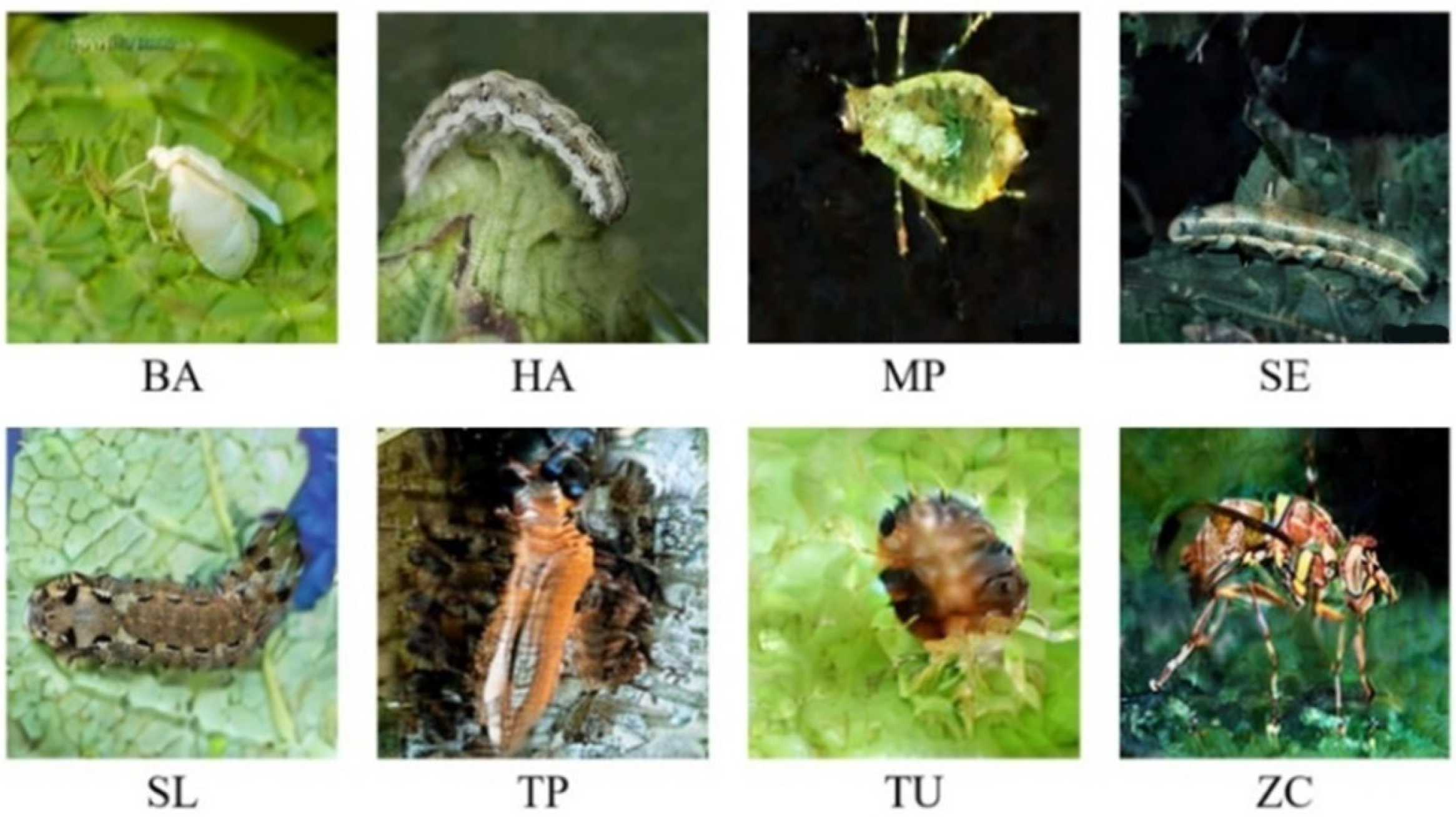 Applsci 13 12206 g004