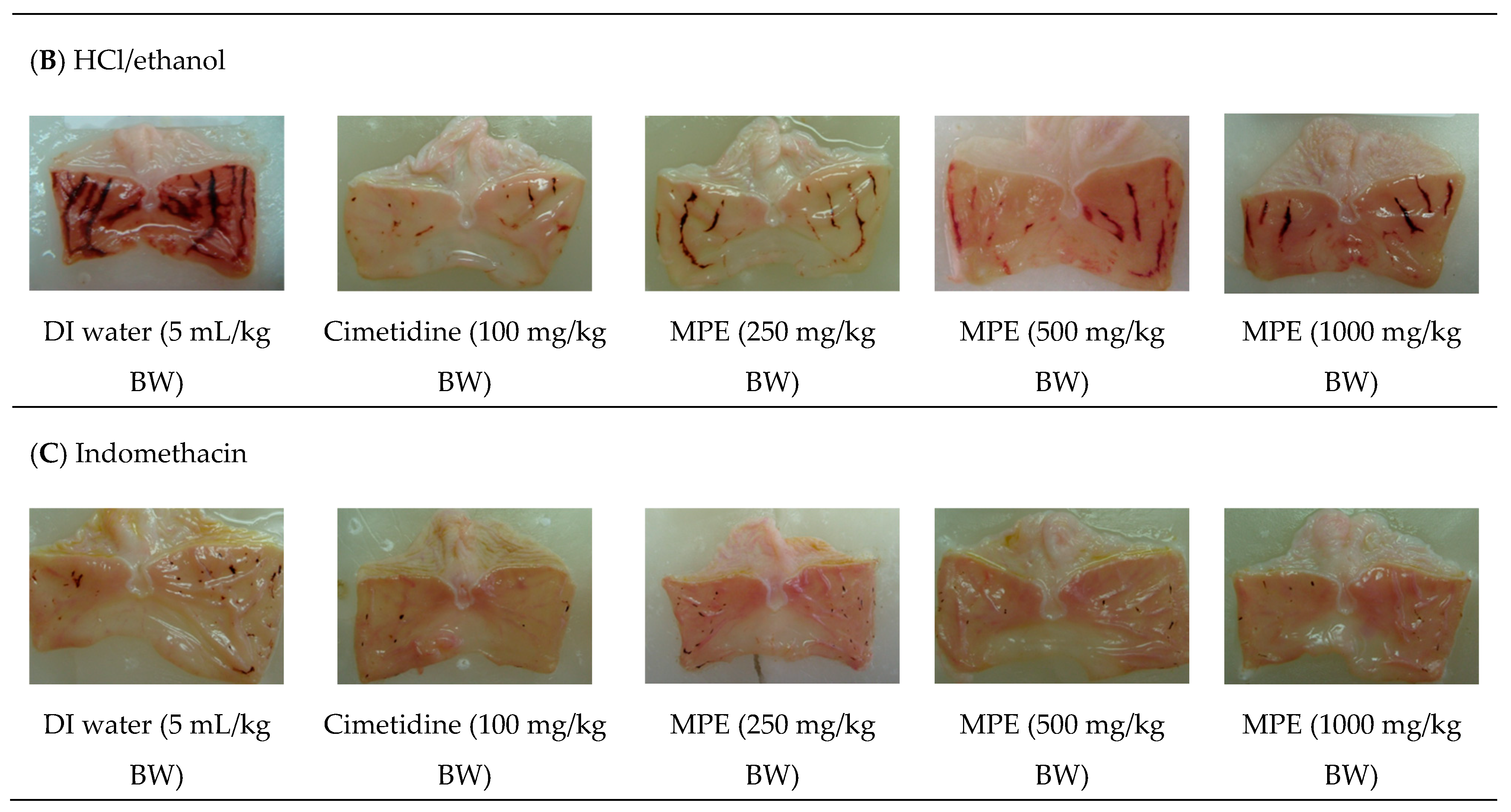 Applsci 13 12216 g002b Applsci 13 12216 g002b