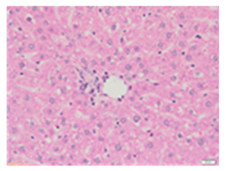 Applsci 13 12216 i001 Applsci 13 12216 i001