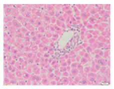 Applsci 13 12216 i002 Applsci 13 12216 i002