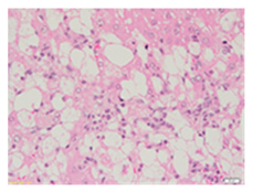 Applsci 13 12216 i003 Applsci 13 12216 i003