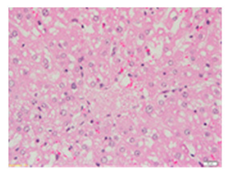 Applsci 13 12216 i004 Applsci 13 12216 i004