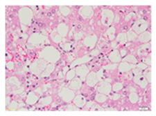 Applsci 13 12216 i006 Applsci 13 12216 i006