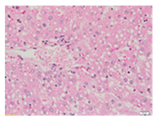 Applsci 13 12216 i007 Applsci 13 12216 i007