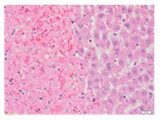 Applsci 13 12216 i008 Applsci 13 12216 i008