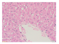 Applsci 13 12216 i009 Applsci 13 12216 i009