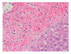 Applsci 13 12216 i011 Applsci 13 12216 i011