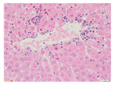 Applsci 13 12216 i012 Applsci 13 12216 i012