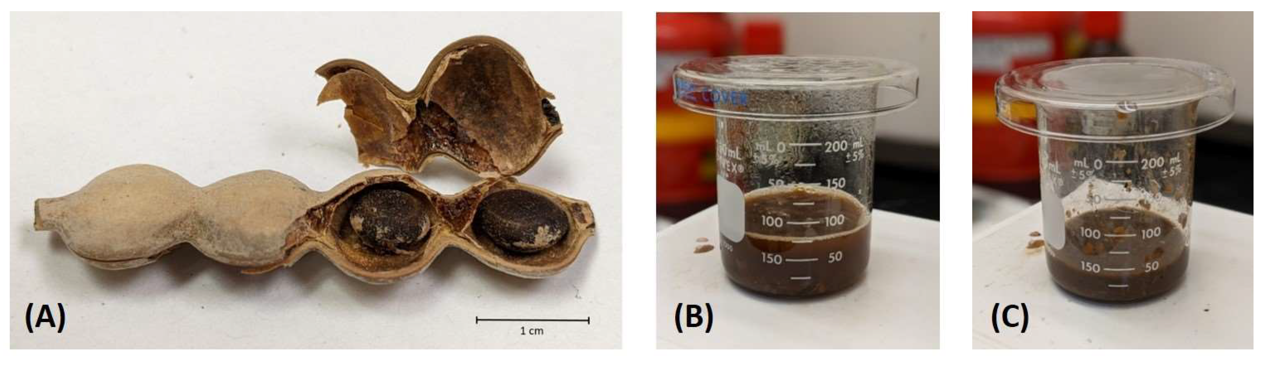 Applsci 13 12240 g004