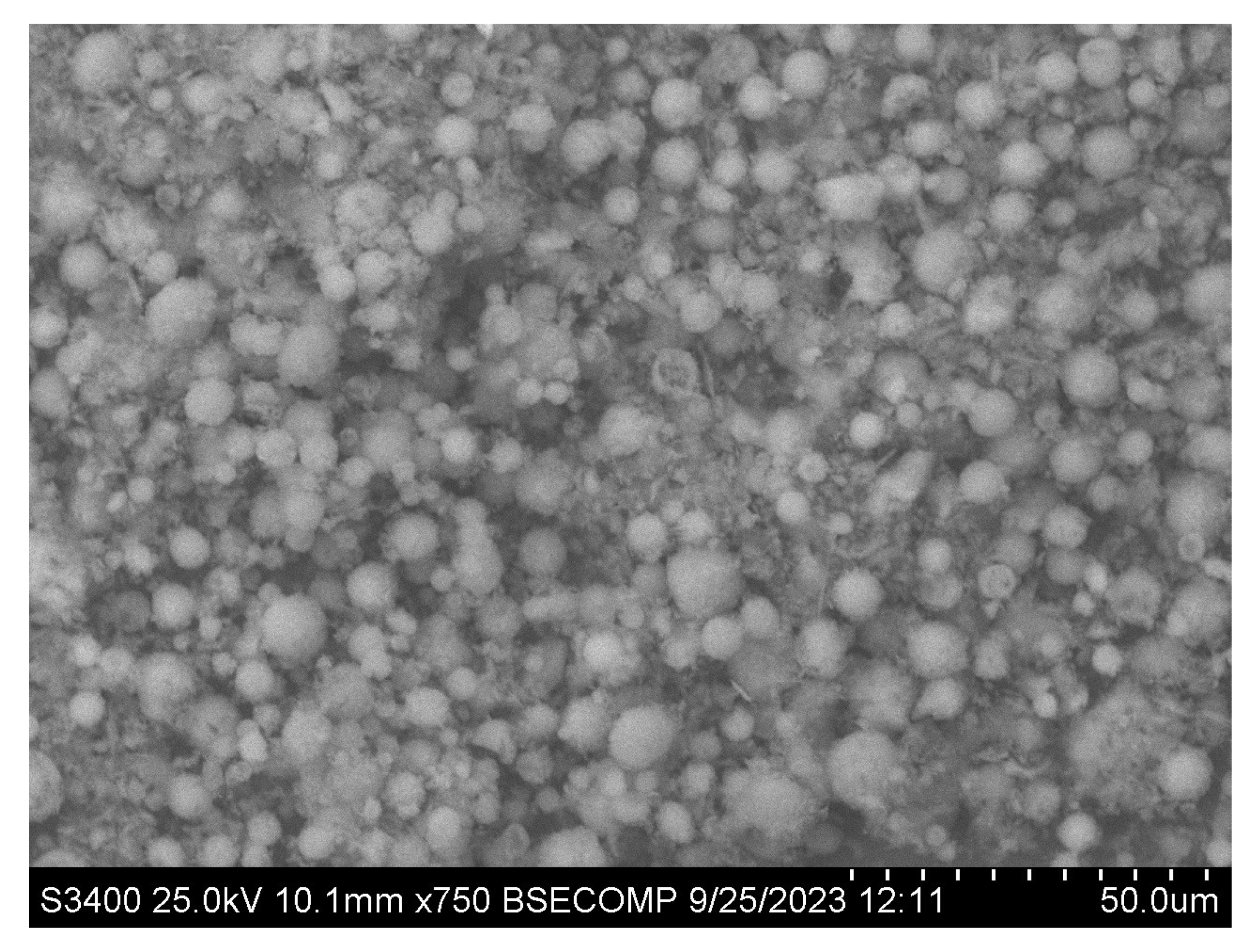 Applsci 13 12240 g007