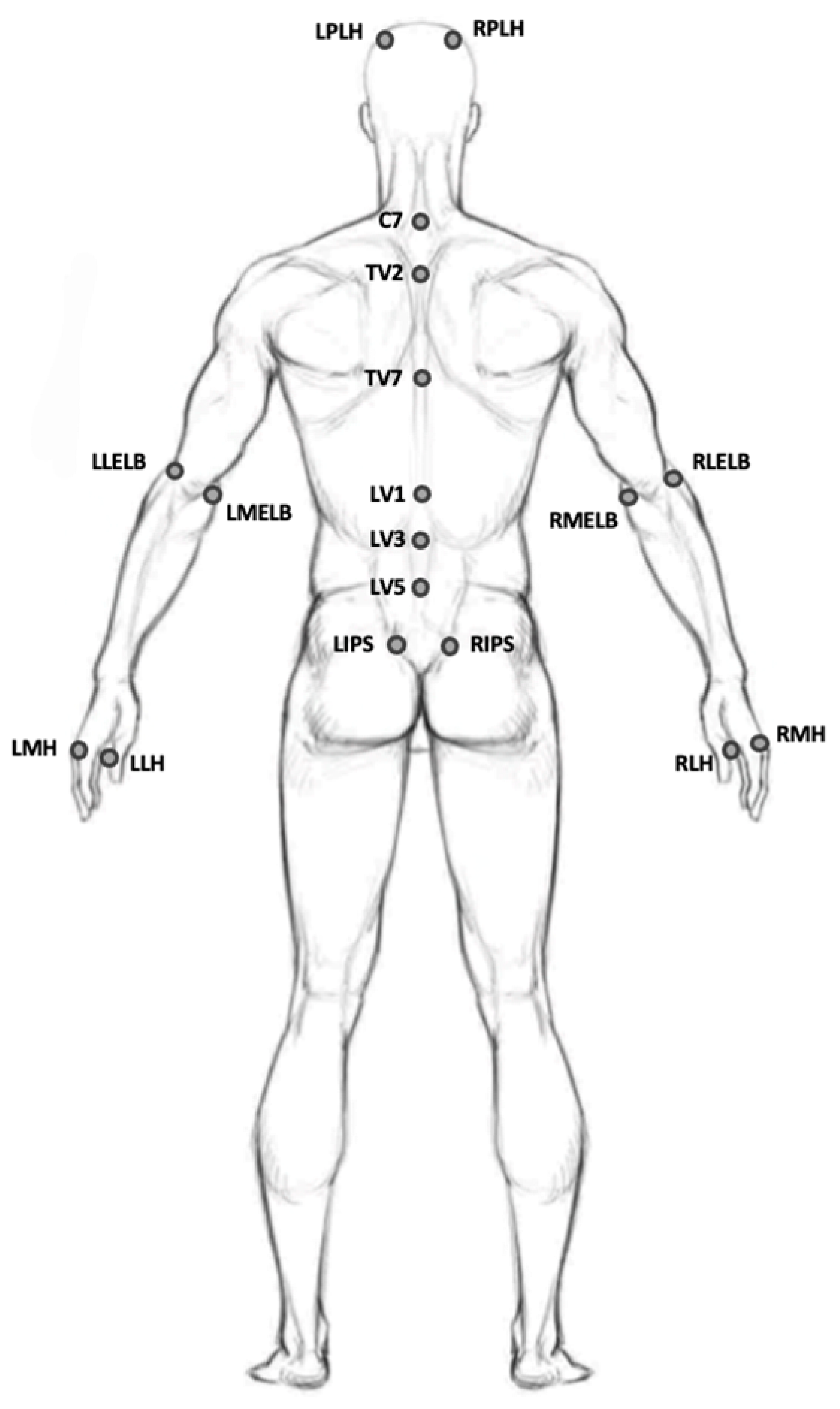 Applsci 13 12282 i002