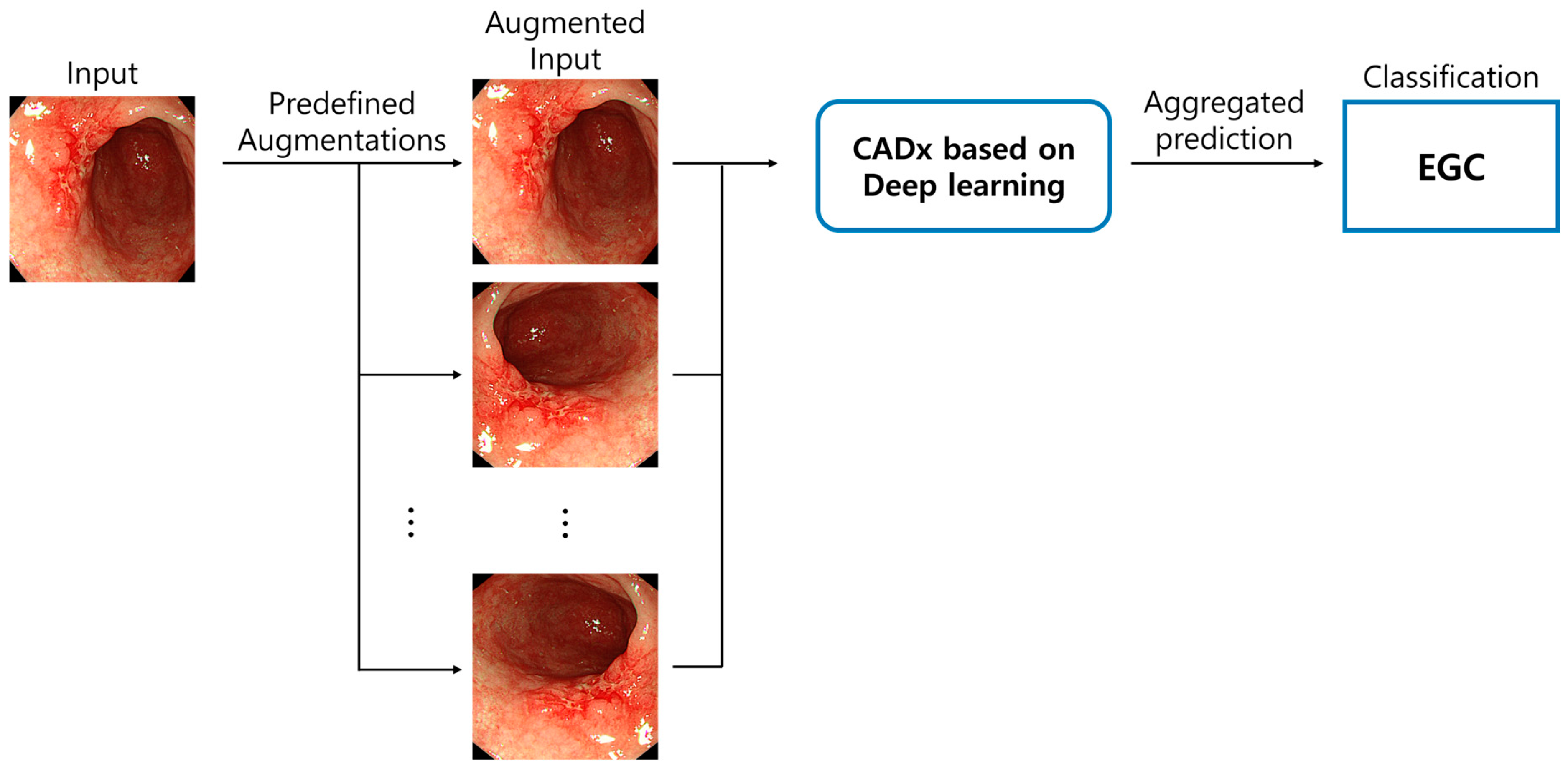 Applsci 13 12325 g004