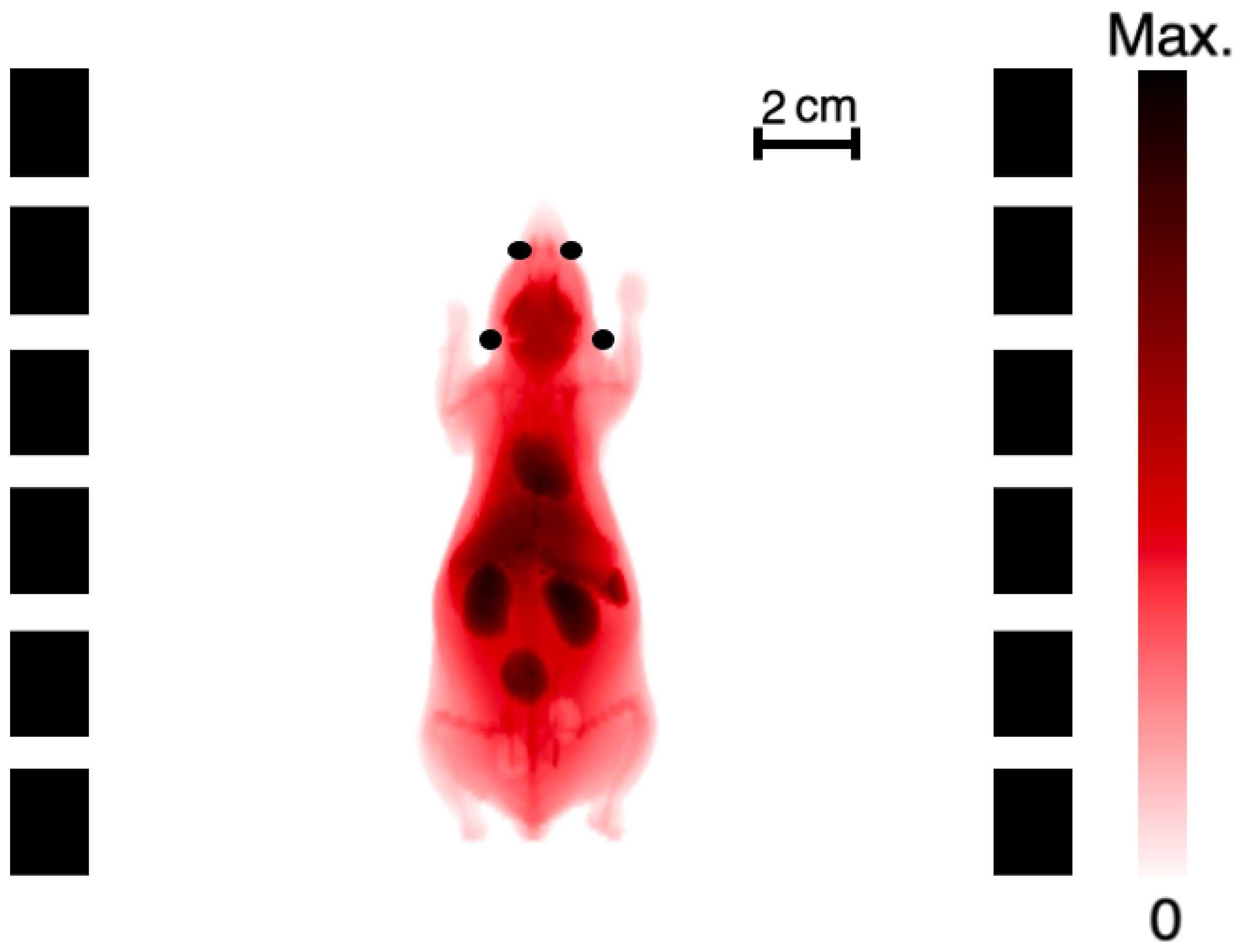 Applsci 13 12329 g002